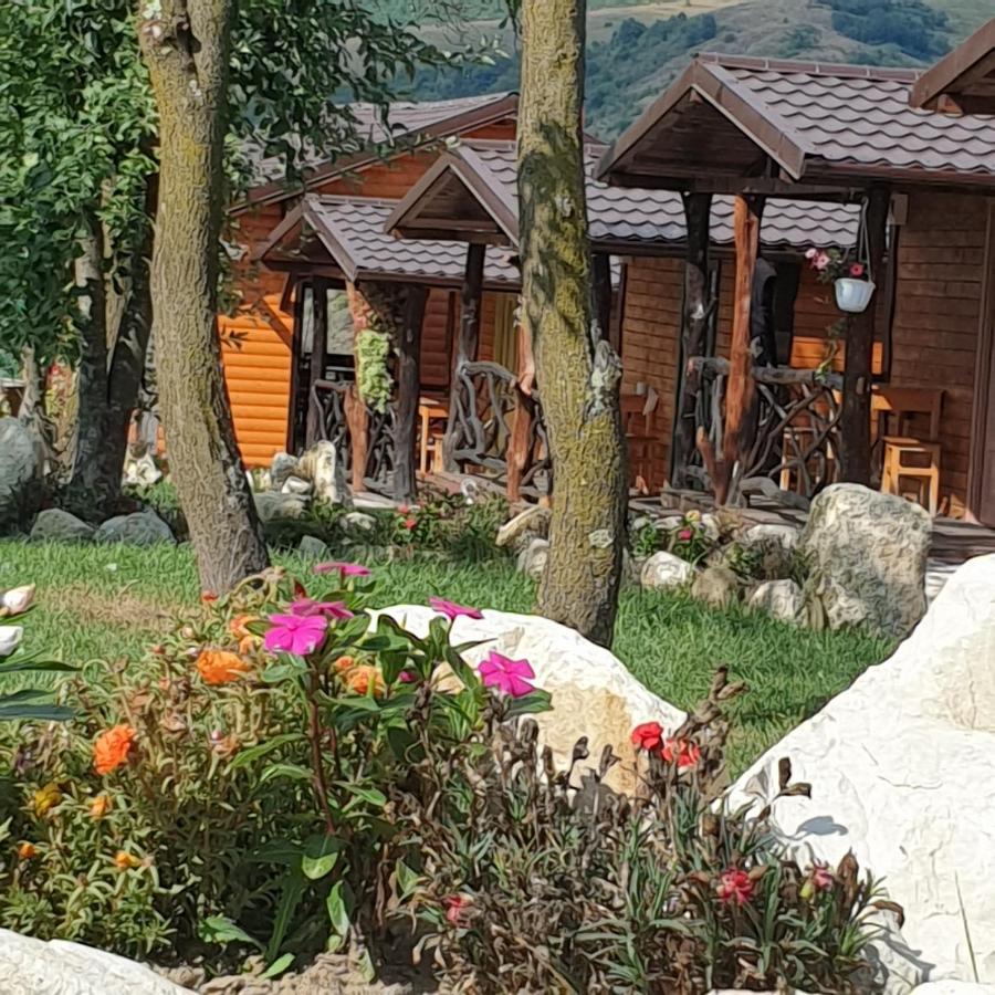 Pensiunea 8 Odăi Poiana Aiudului Exterior foto