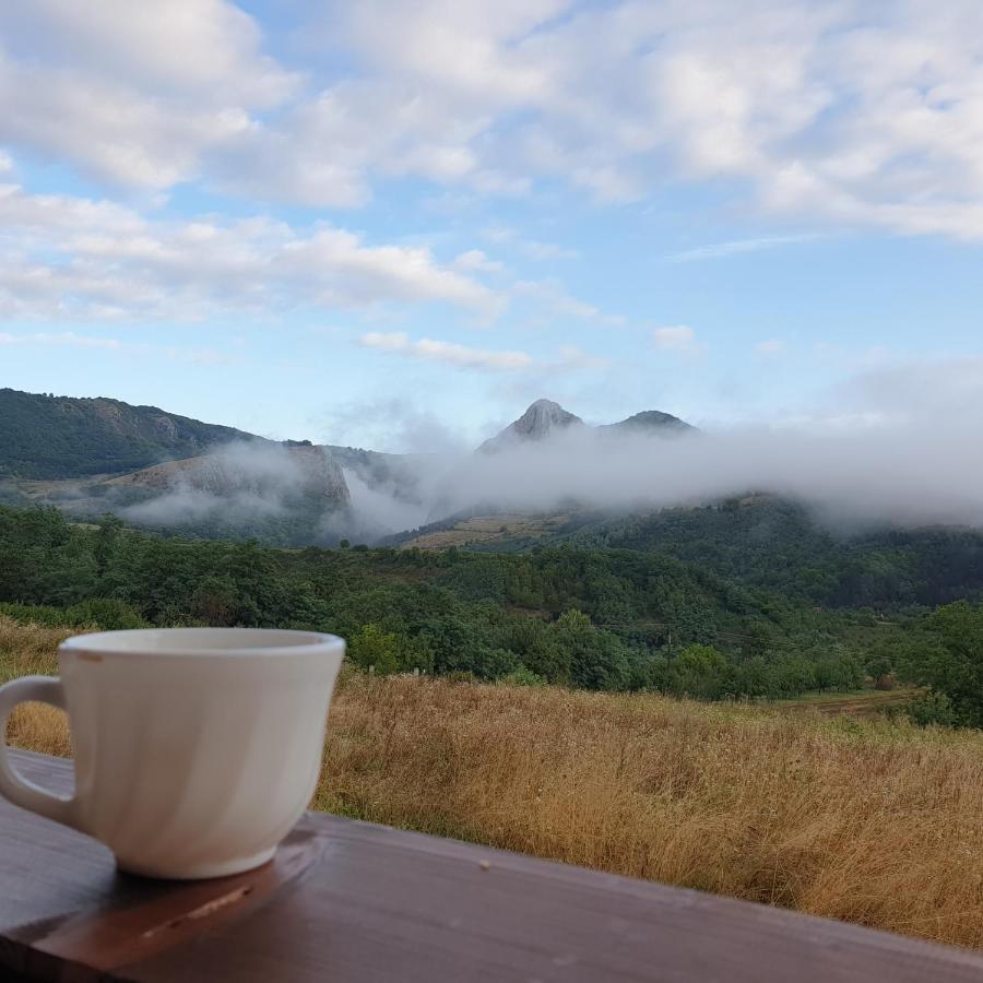 Pensiunea 8 Odăi Poiana Aiudului Exterior foto