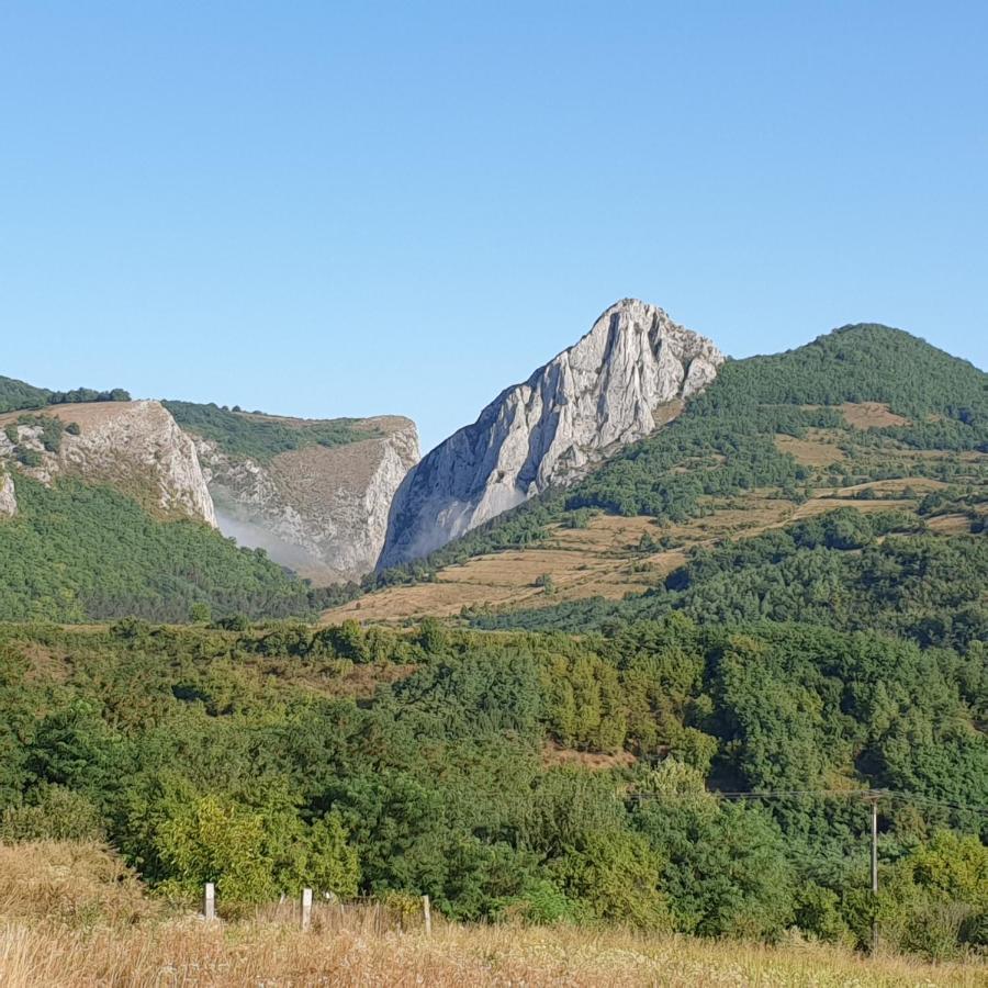Pensiunea 8 Odăi Poiana Aiudului Exterior foto