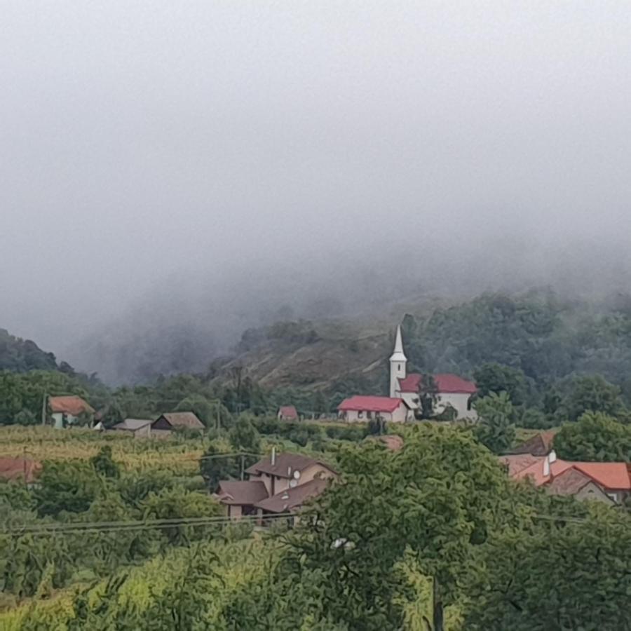 Pensiunea 8 Odăi Poiana Aiudului Exterior foto